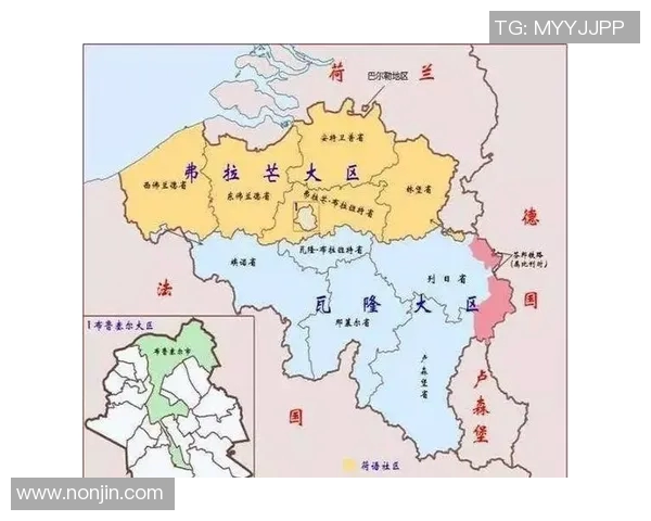 荷兰足球队讲法语的球星与法语文化的深厚渊源分析 荷兰足球队讲法语的球星与法语文化的深厚渊源分析