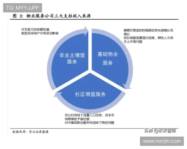 南京排球队的整体压制解析与战术深度探讨 南京排球队的整体压制解析与战术深度探讨