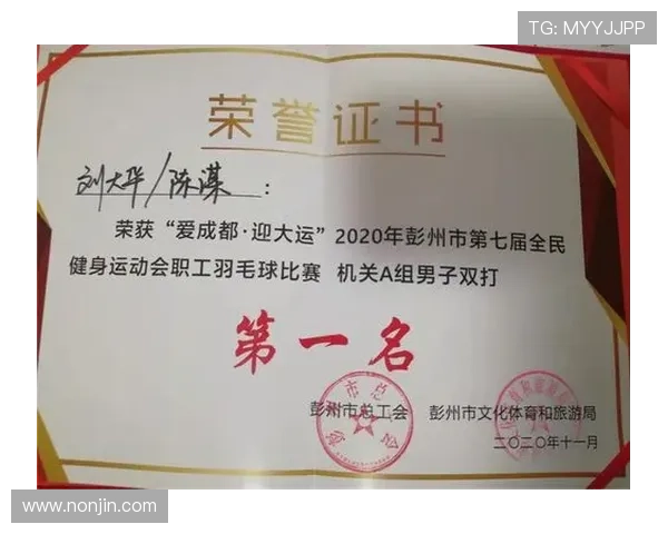 成都羽毛球队进攻策略分析与比赛表现评估