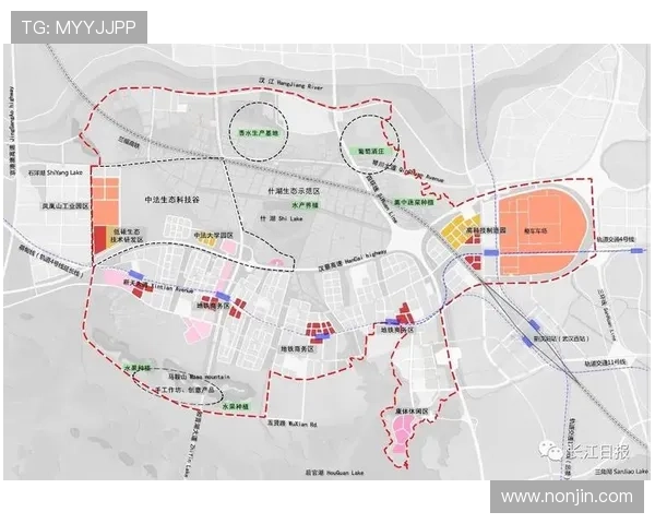 武汉排球队在全国锦标赛中的实力展现与未来发展潜力分析